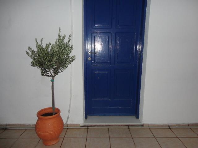 Pavlos Rooms Livadia  Exteriér fotografie
